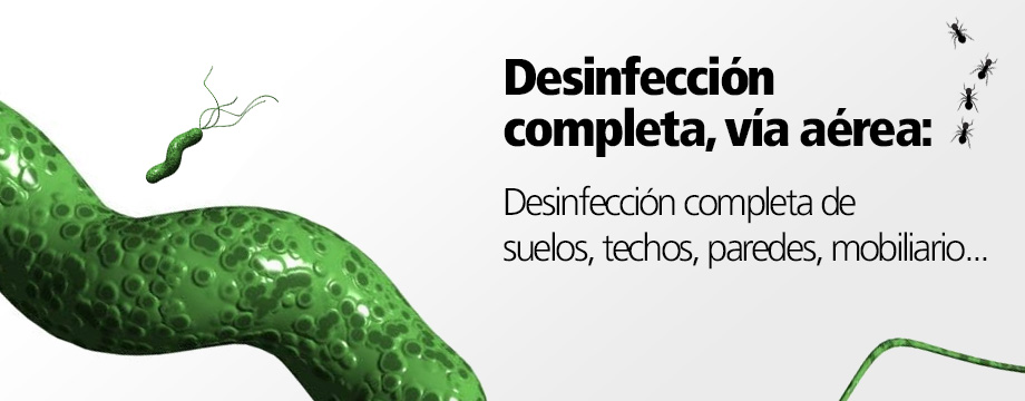 Desinfección