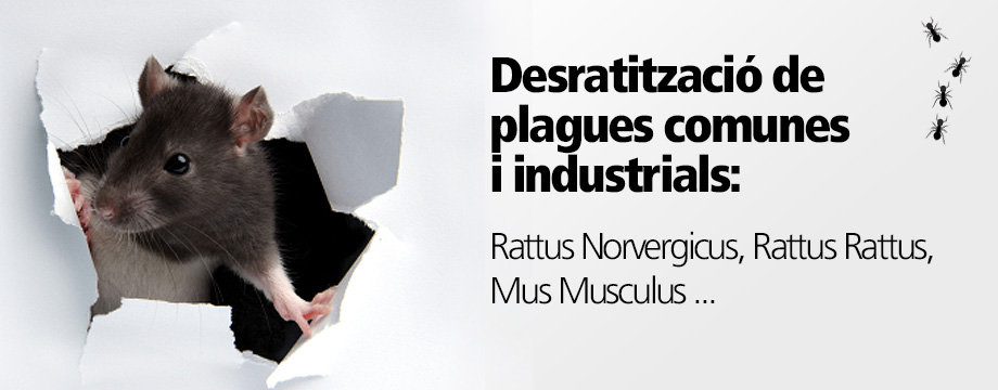 Desratització